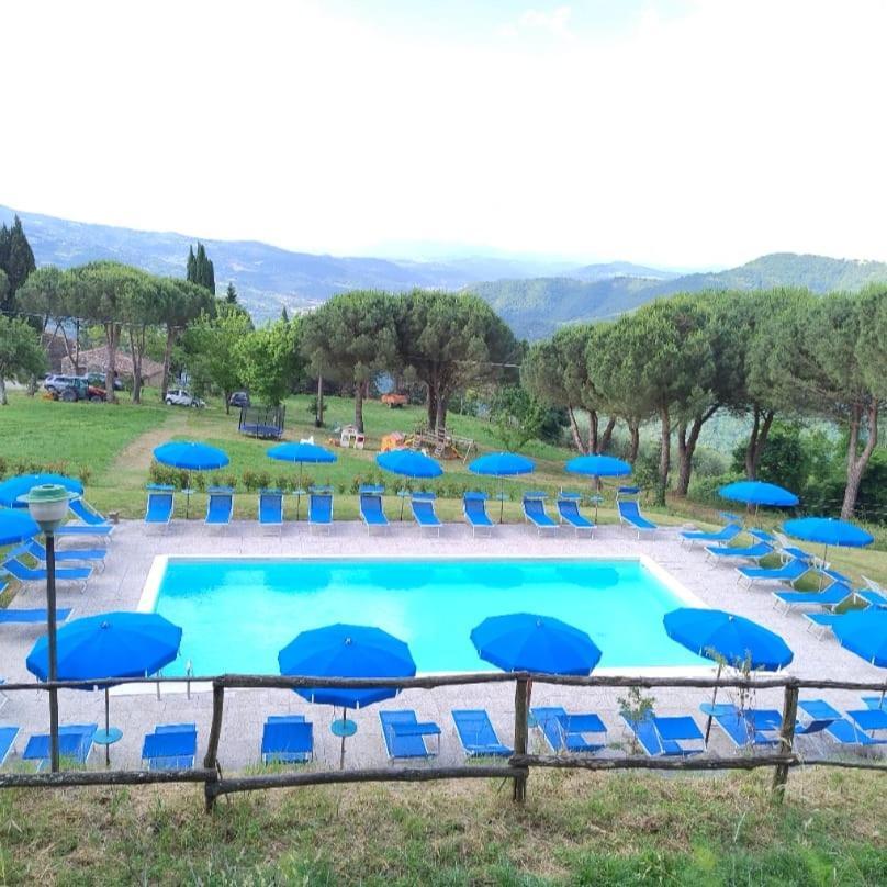 Fattoria Di Cintoia Villa Pontassieve Dış mekan fotoğraf
