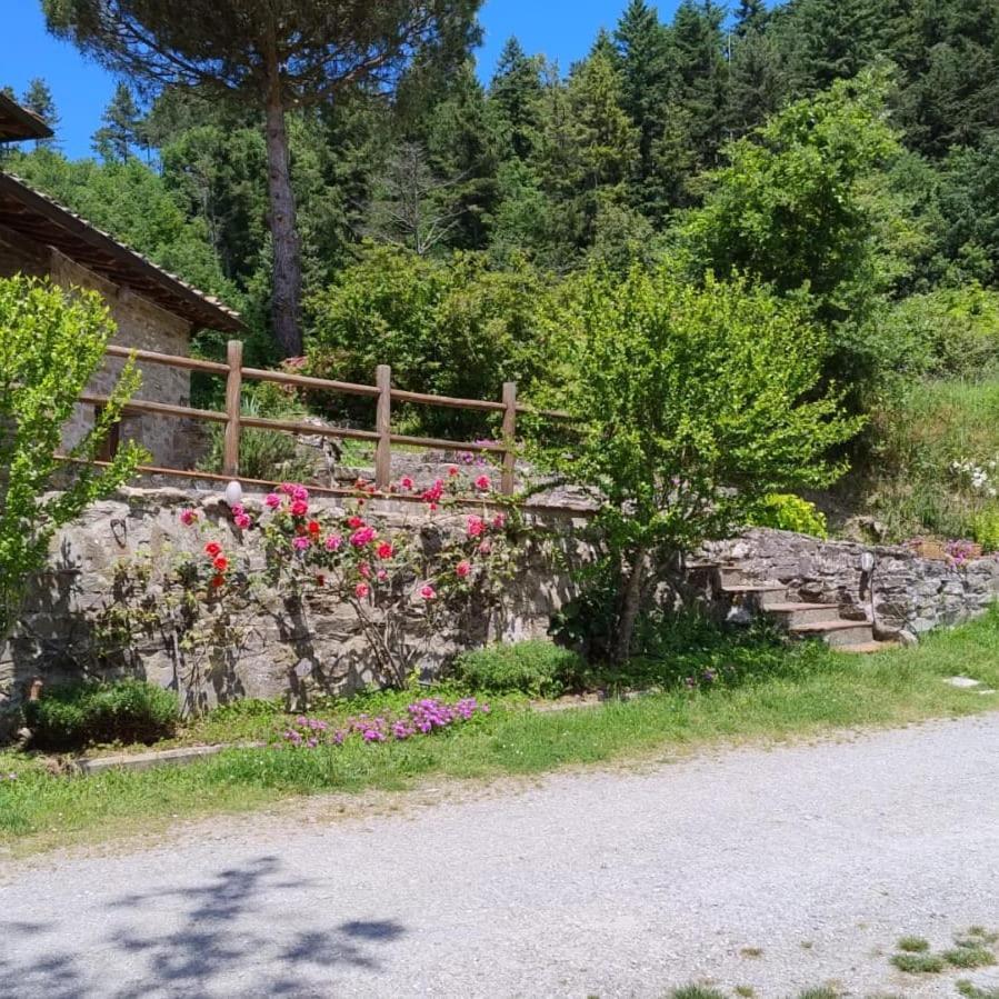 Fattoria Di Cintoia Villa Pontassieve Dış mekan fotoğraf