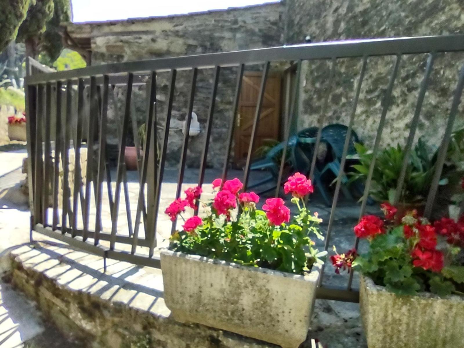 Fattoria Di Cintoia Villa Pontassieve Dış mekan fotoğraf