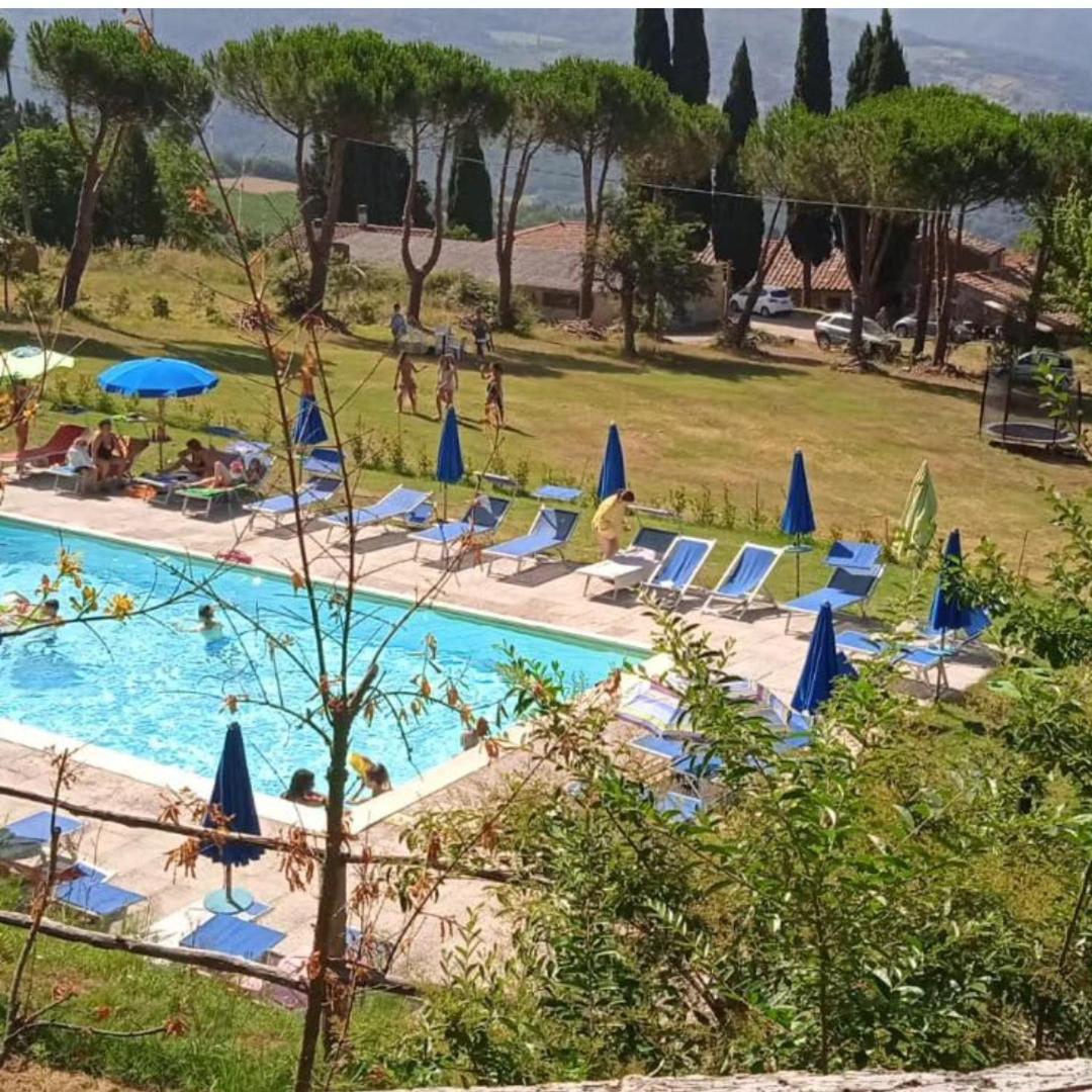 Fattoria Di Cintoia Villa Pontassieve Dış mekan fotoğraf
