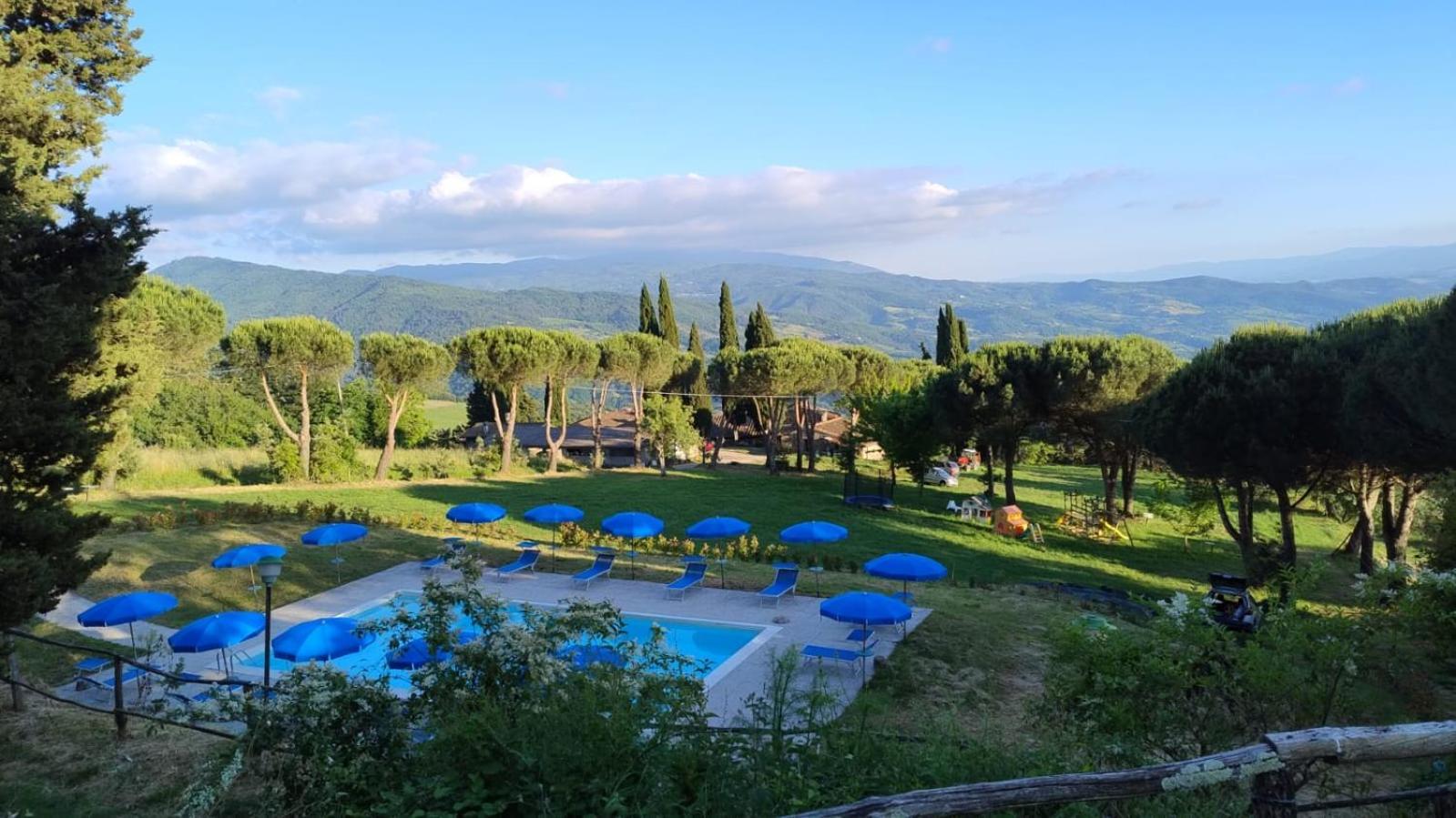 Fattoria Di Cintoia Villa Pontassieve Dış mekan fotoğraf