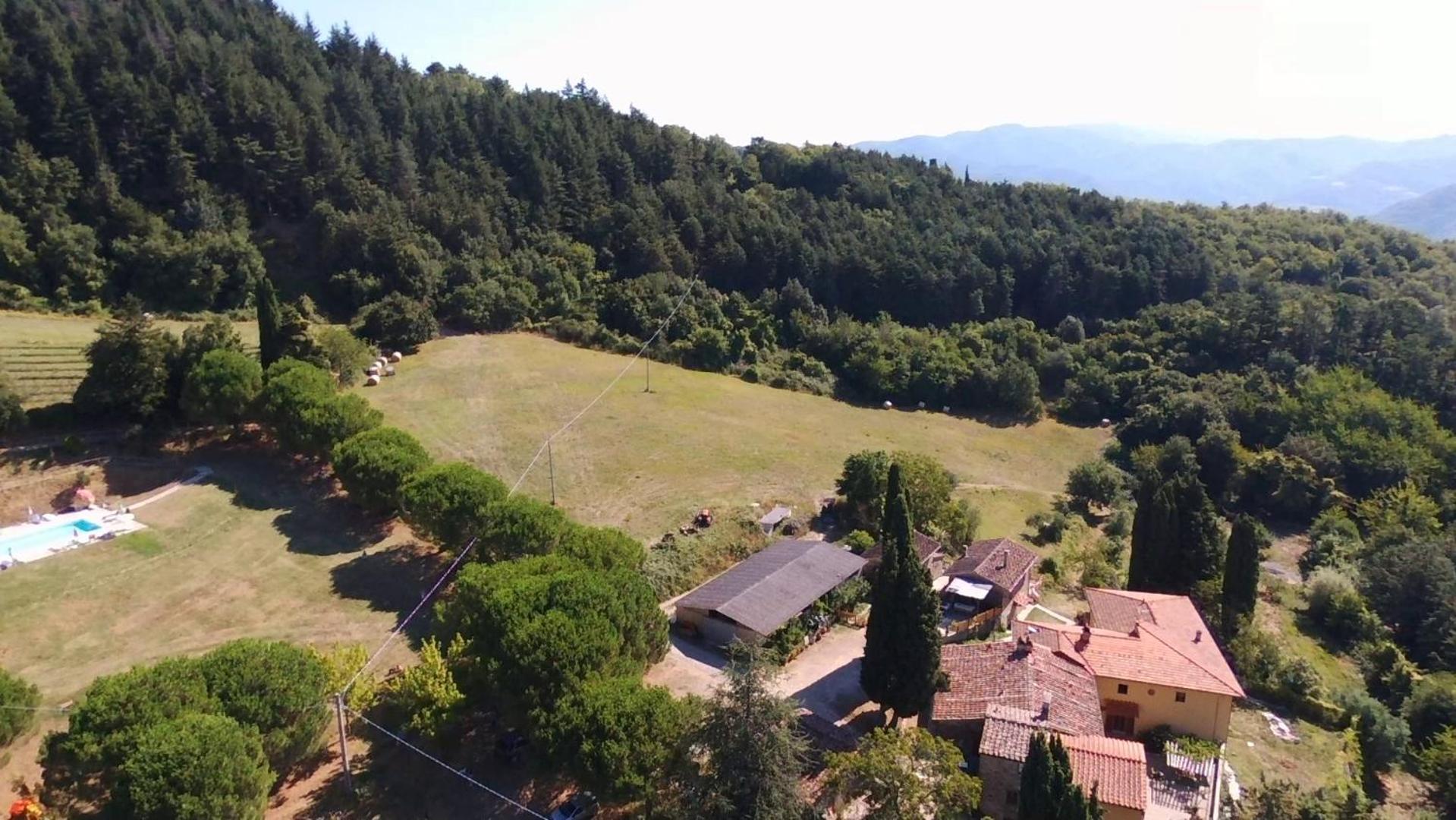 Fattoria Di Cintoia Villa Pontassieve Dış mekan fotoğraf