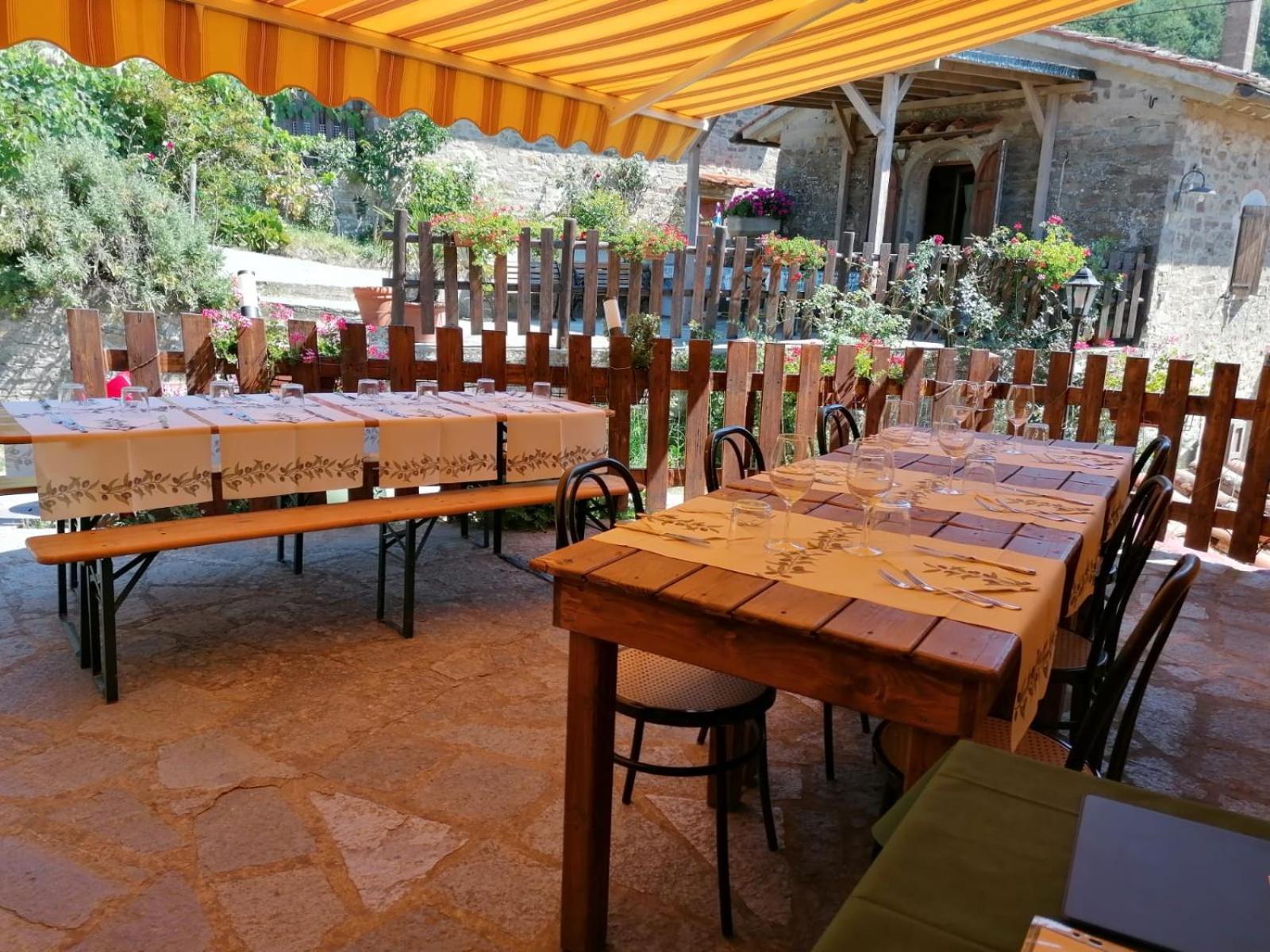 Fattoria Di Cintoia Villa Pontassieve Dış mekan fotoğraf