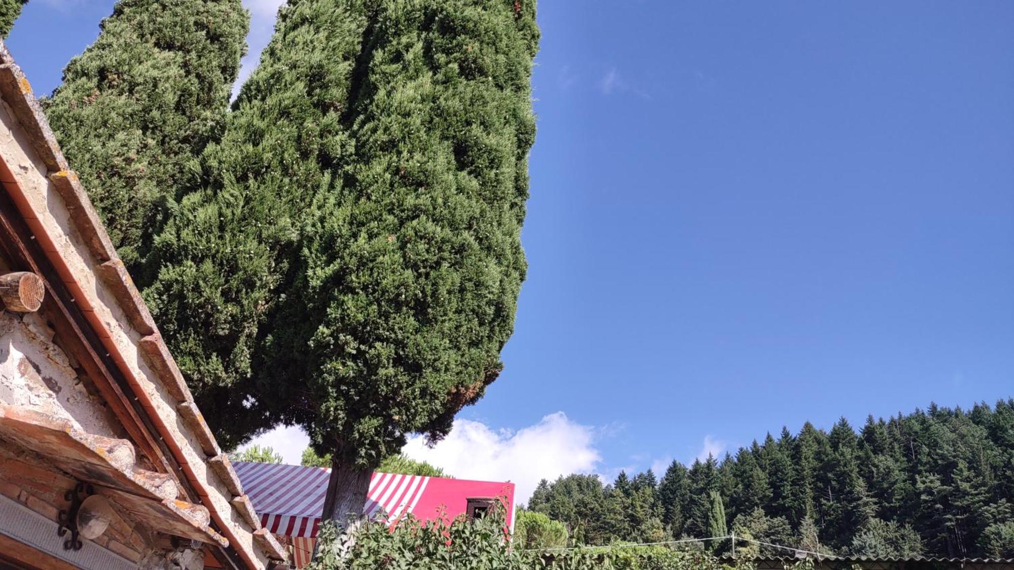 Fattoria Di Cintoia Villa Pontassieve Dış mekan fotoğraf
