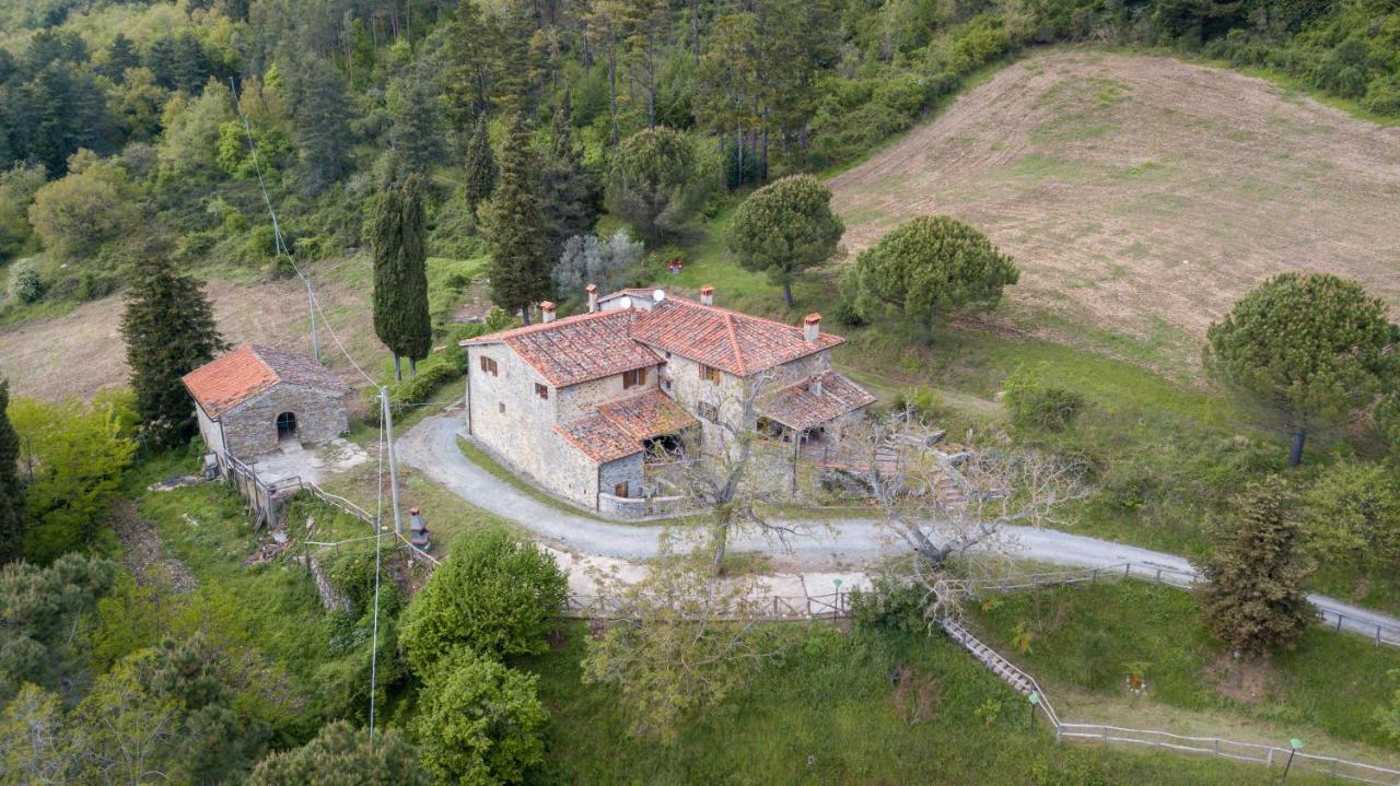 Fattoria Di Cintoia Villa Pontassieve Dış mekan fotoğraf
