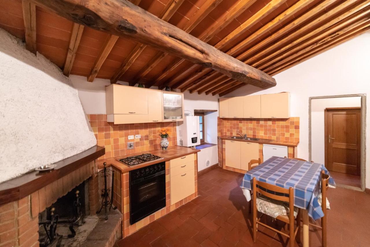 Fattoria Di Cintoia Villa Pontassieve Dış mekan fotoğraf