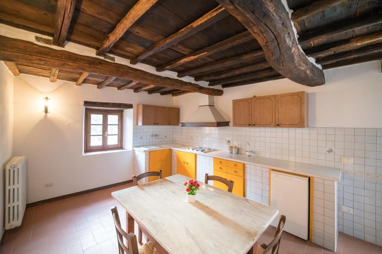 Fattoria Di Cintoia Villa Pontassieve Dış mekan fotoğraf