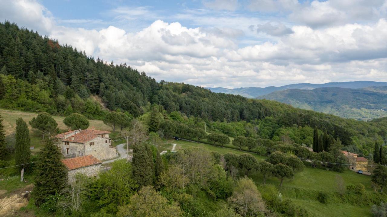 Fattoria Di Cintoia Villa Pontassieve Dış mekan fotoğraf