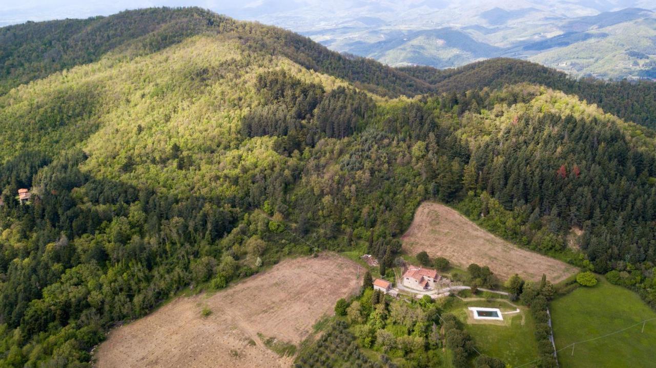 Fattoria Di Cintoia Villa Pontassieve Dış mekan fotoğraf