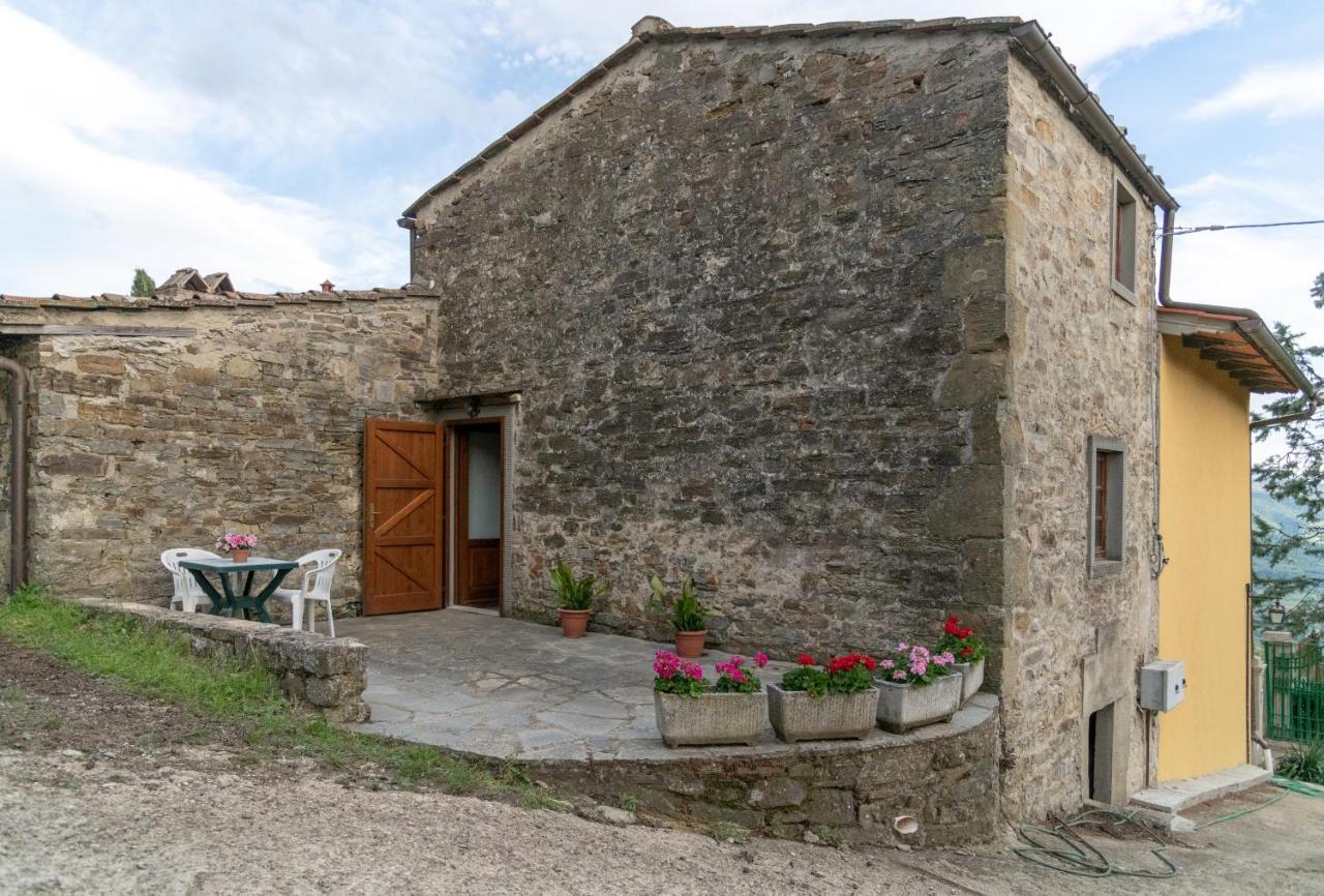 Fattoria Di Cintoia Villa Pontassieve Dış mekan fotoğraf
