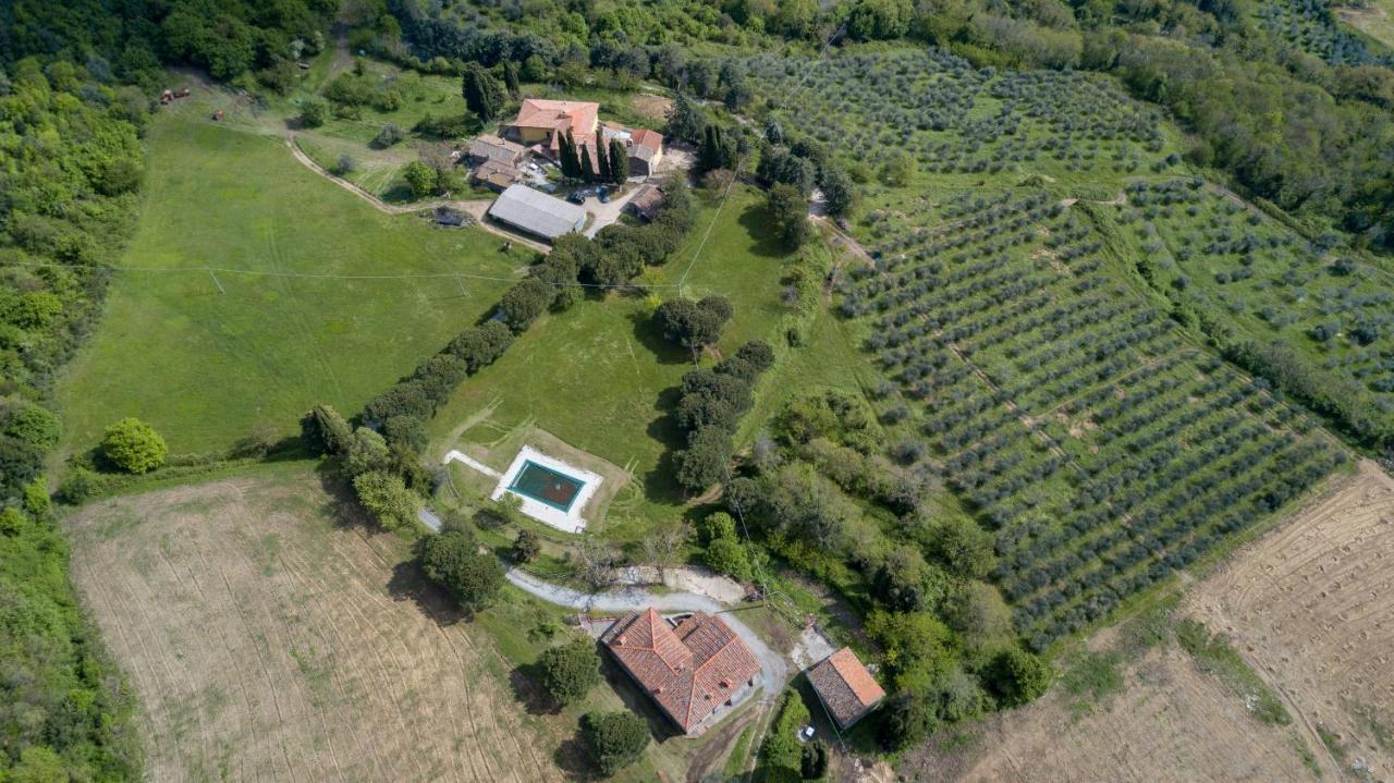 Fattoria Di Cintoia Villa Pontassieve Dış mekan fotoğraf
