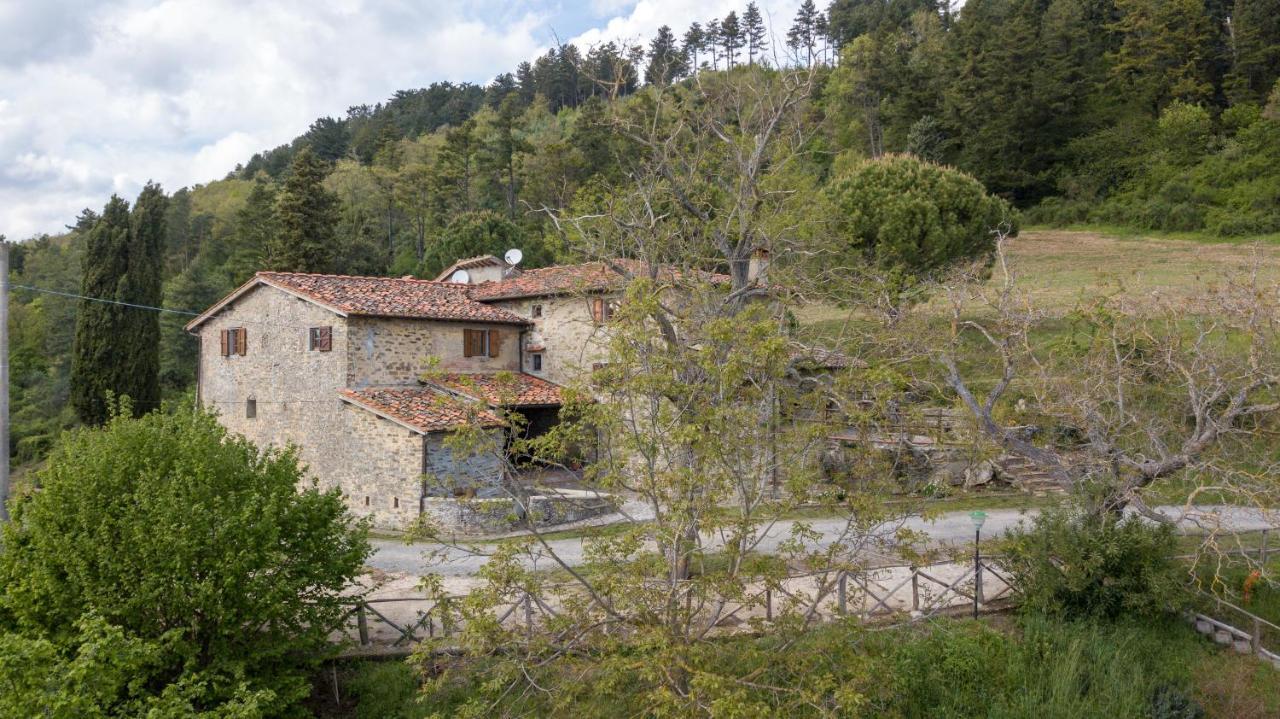 Fattoria Di Cintoia Villa Pontassieve Dış mekan fotoğraf