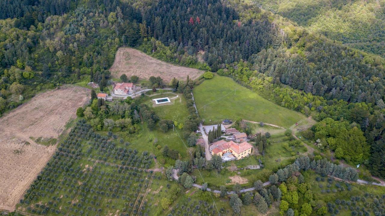 Fattoria Di Cintoia Villa Pontassieve Dış mekan fotoğraf
