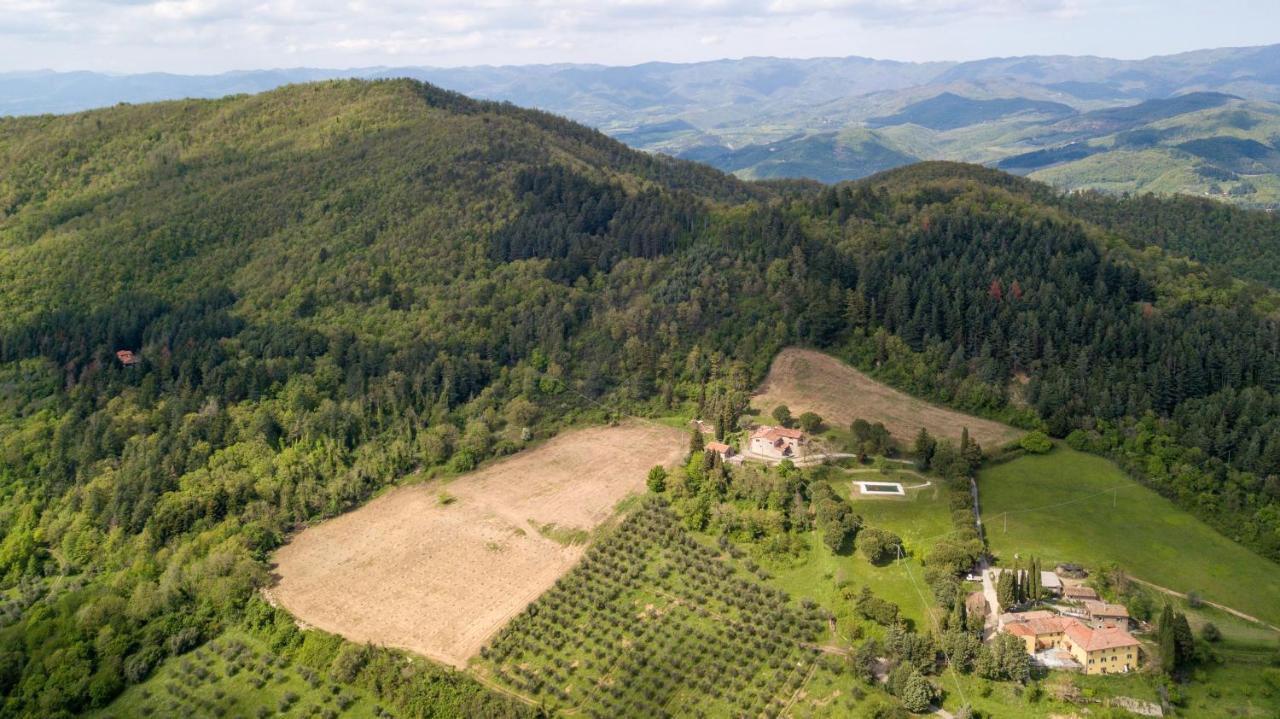 Fattoria Di Cintoia Villa Pontassieve Dış mekan fotoğraf