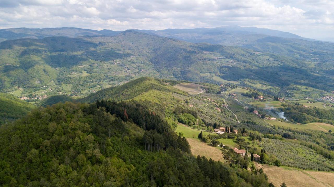 Fattoria Di Cintoia Villa Pontassieve Dış mekan fotoğraf